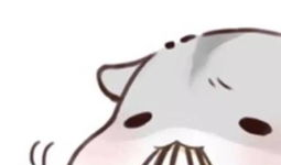 萌漫画仓鼠,漫画中的可爱日常